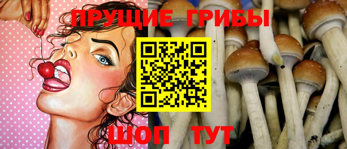 Галлюциногенные грибы Cubensis Городец