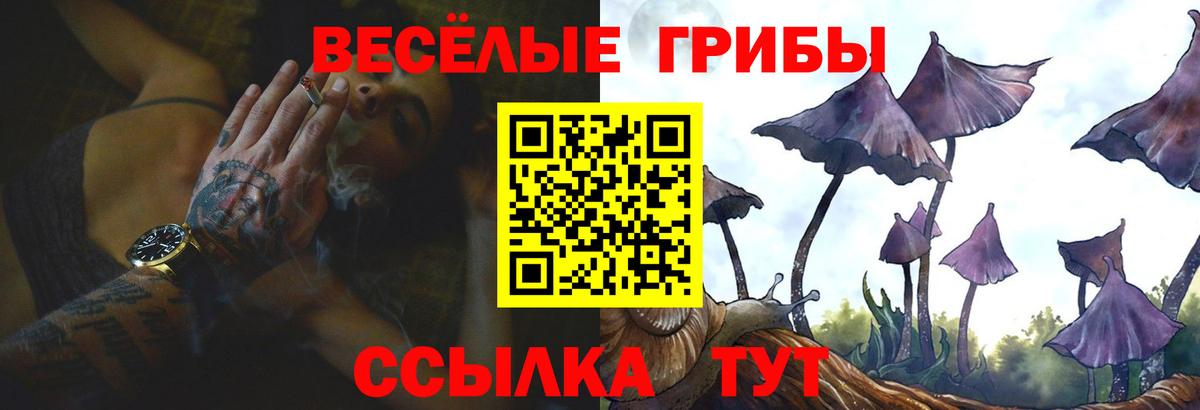 Псилоцибиновые грибы Psilocybine cubensis  Вход с VPN  Псилоцибиновые грибы мицелий  Городец 